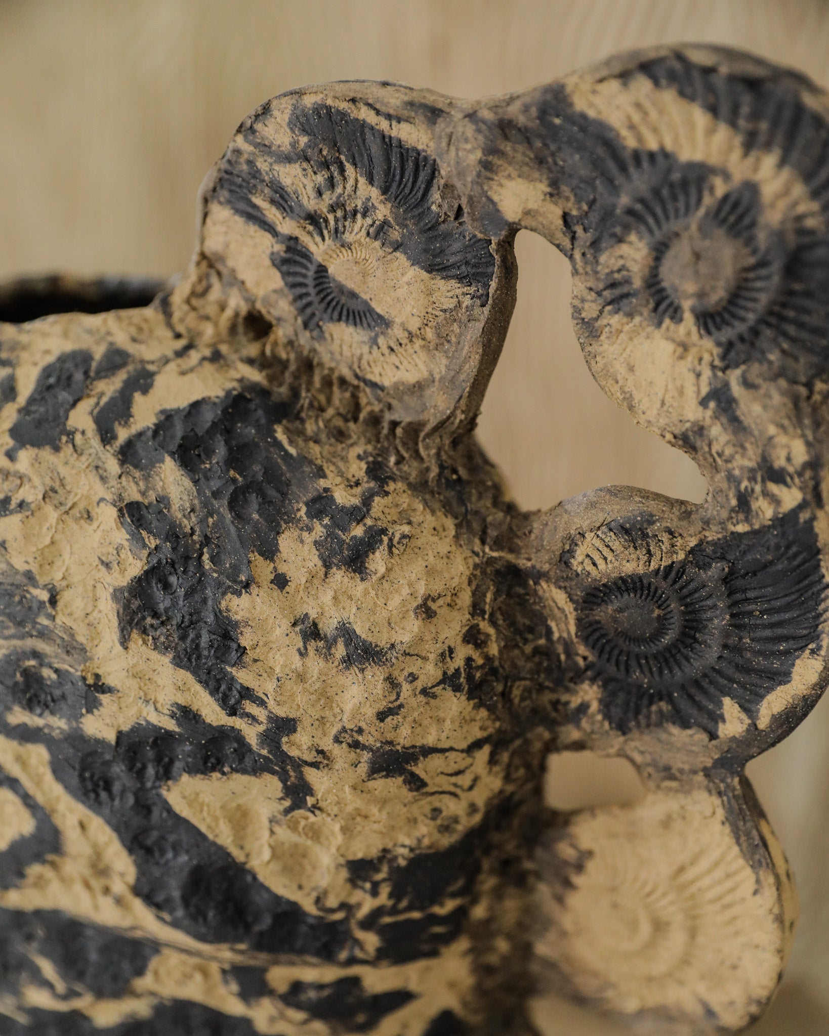 Marbled Nautilus Vase