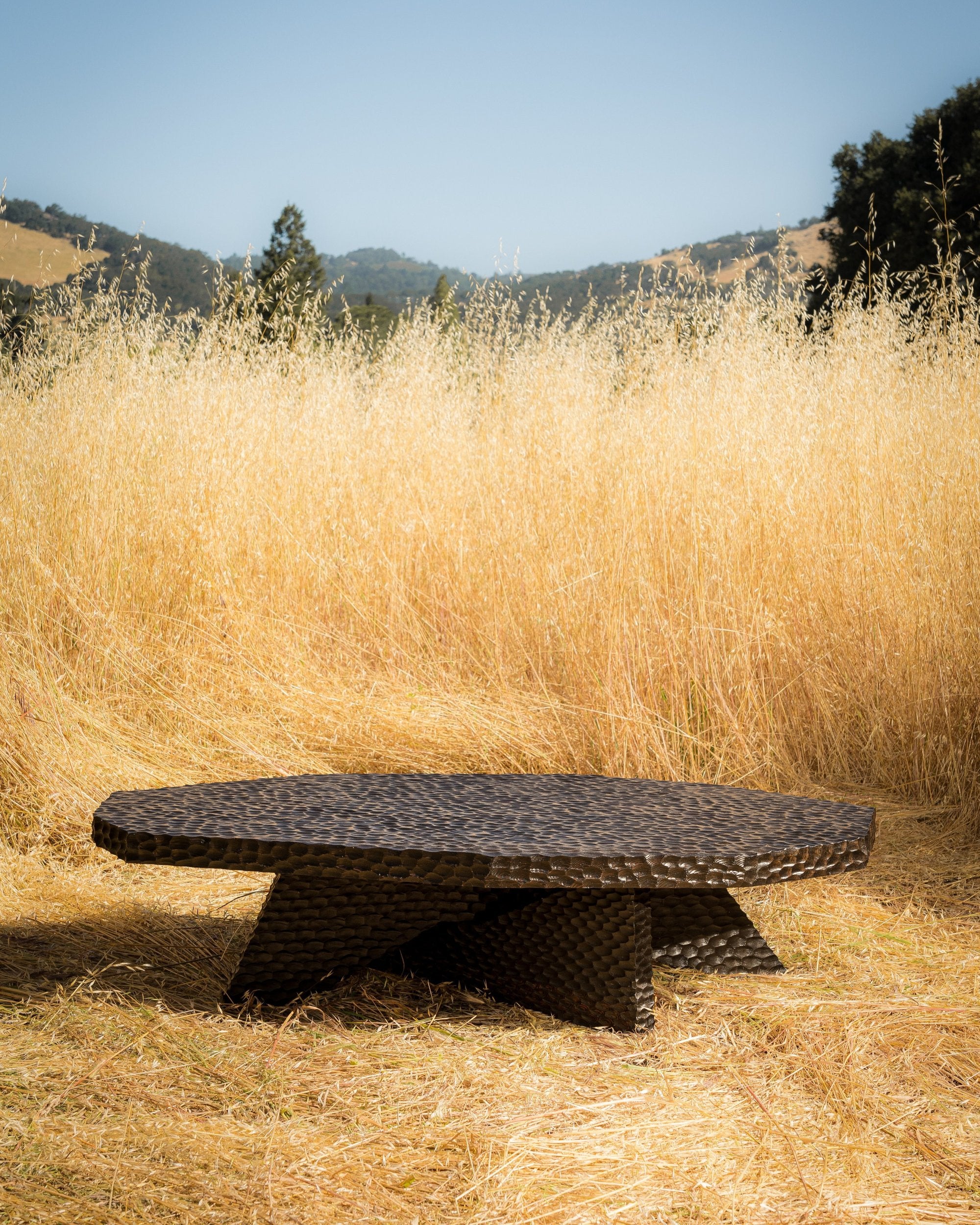 carved wood haus of hommeboys ocotillo coffee table in sonoma field