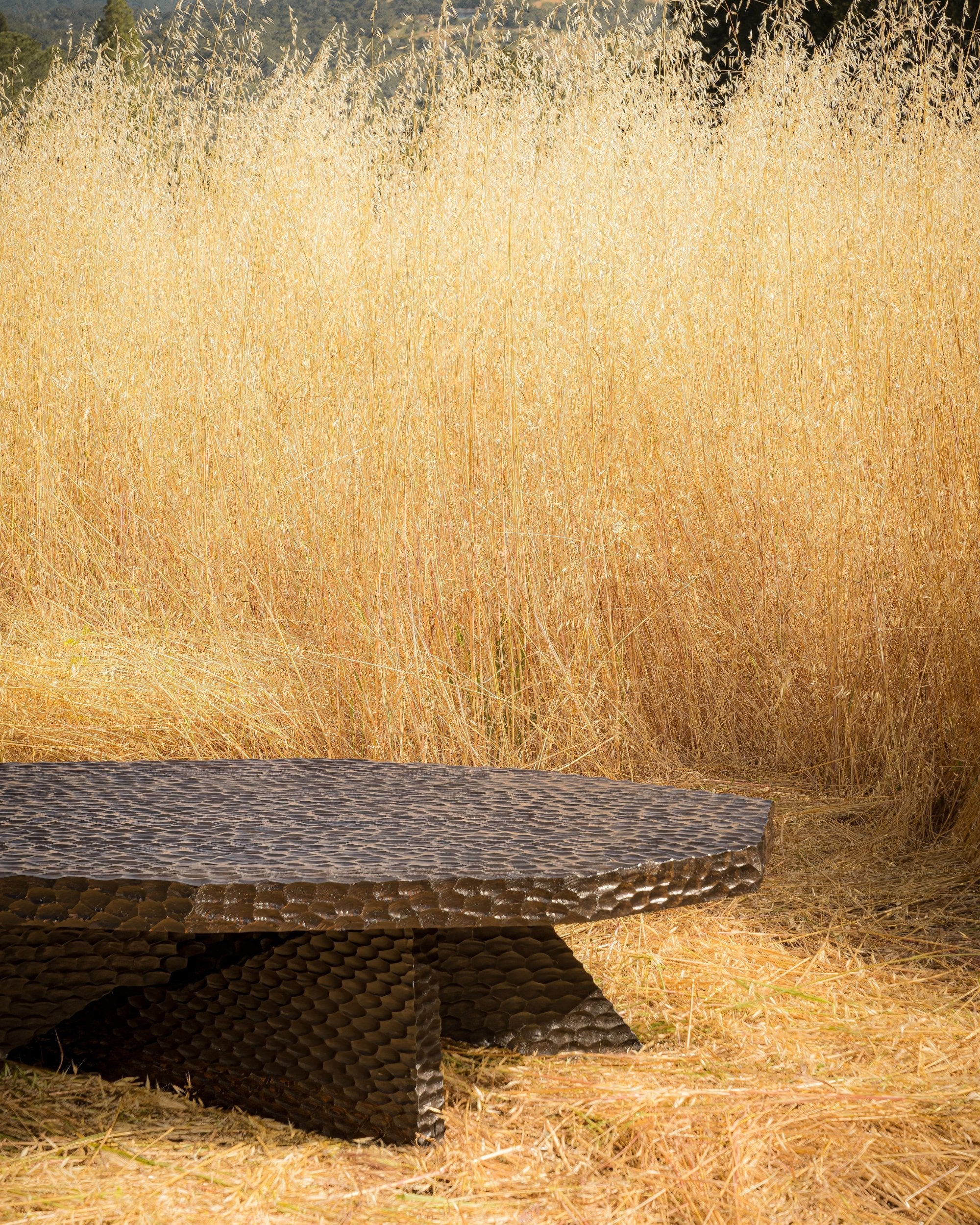 carved wood haus of hommeboys ocotillo coffee table in sonoma field