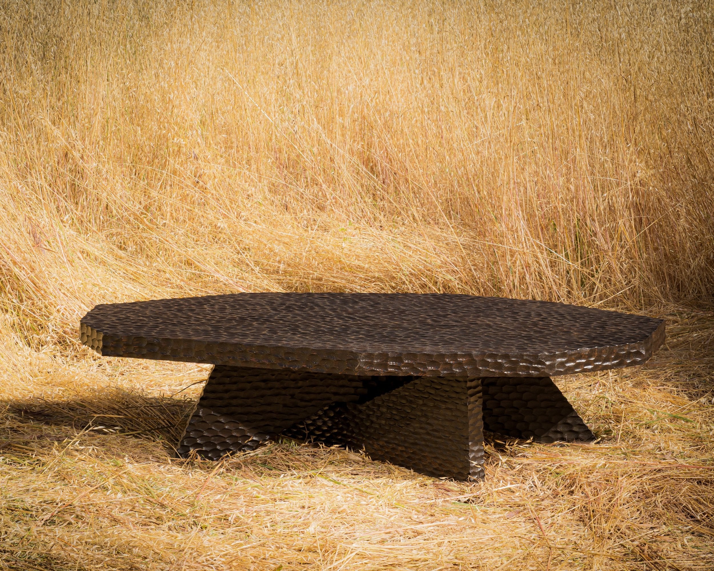 carved wood haus of hommeboys ocotillo coffee table in sonoma field