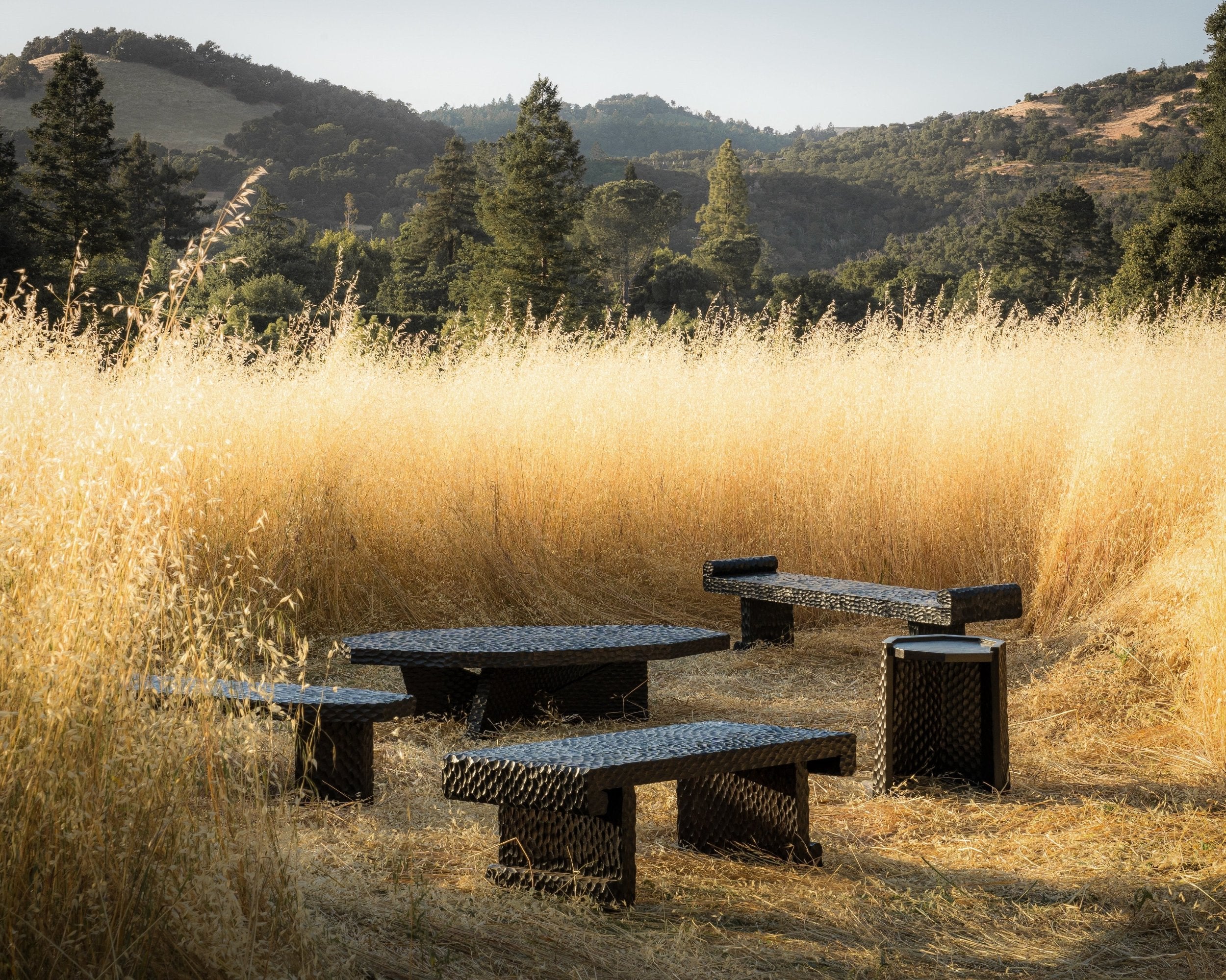 carved wood haus of hommeboys ocotillo collection in sonoma field