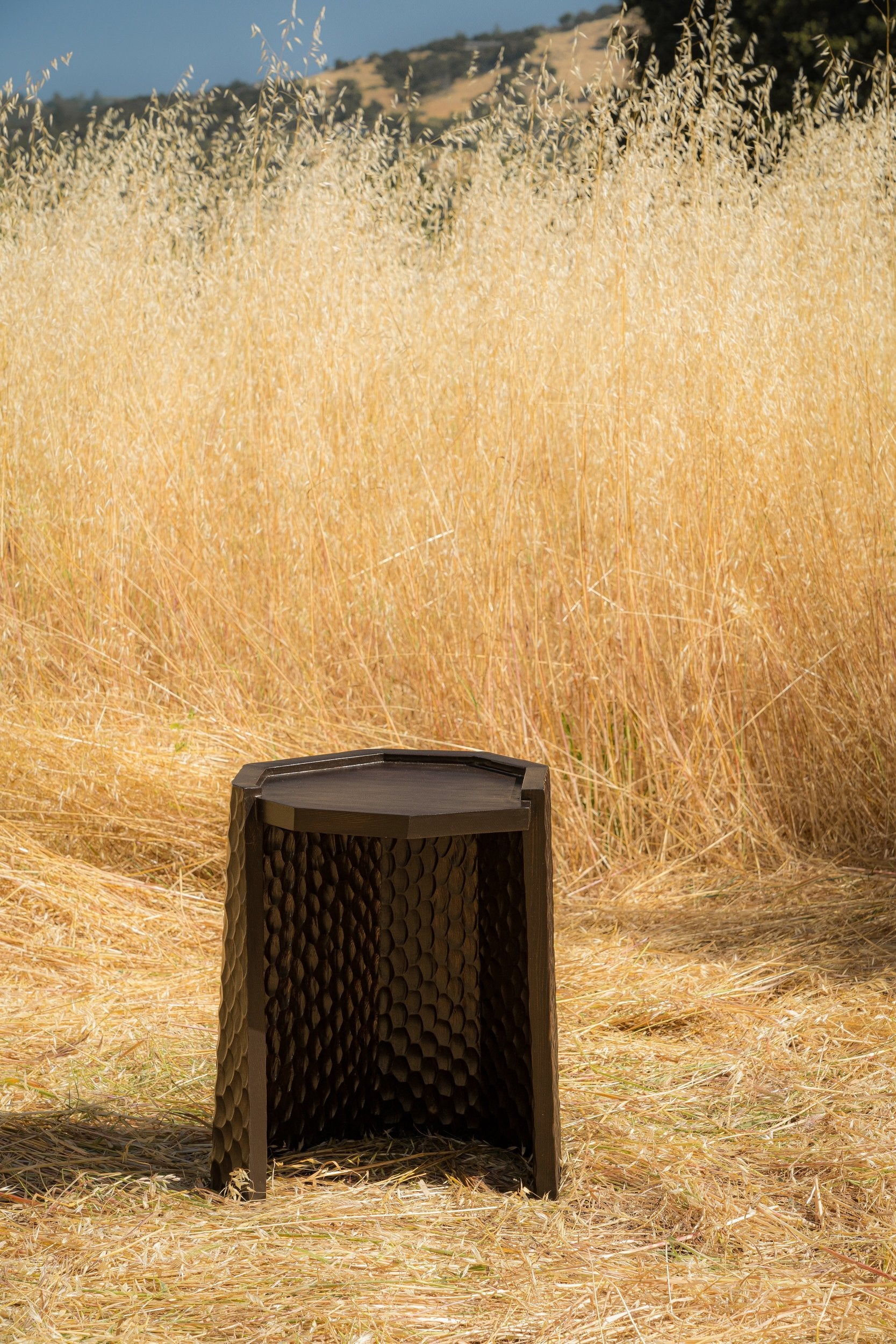 carved wood haus of hommeboys ocotillo side table in sonoma field