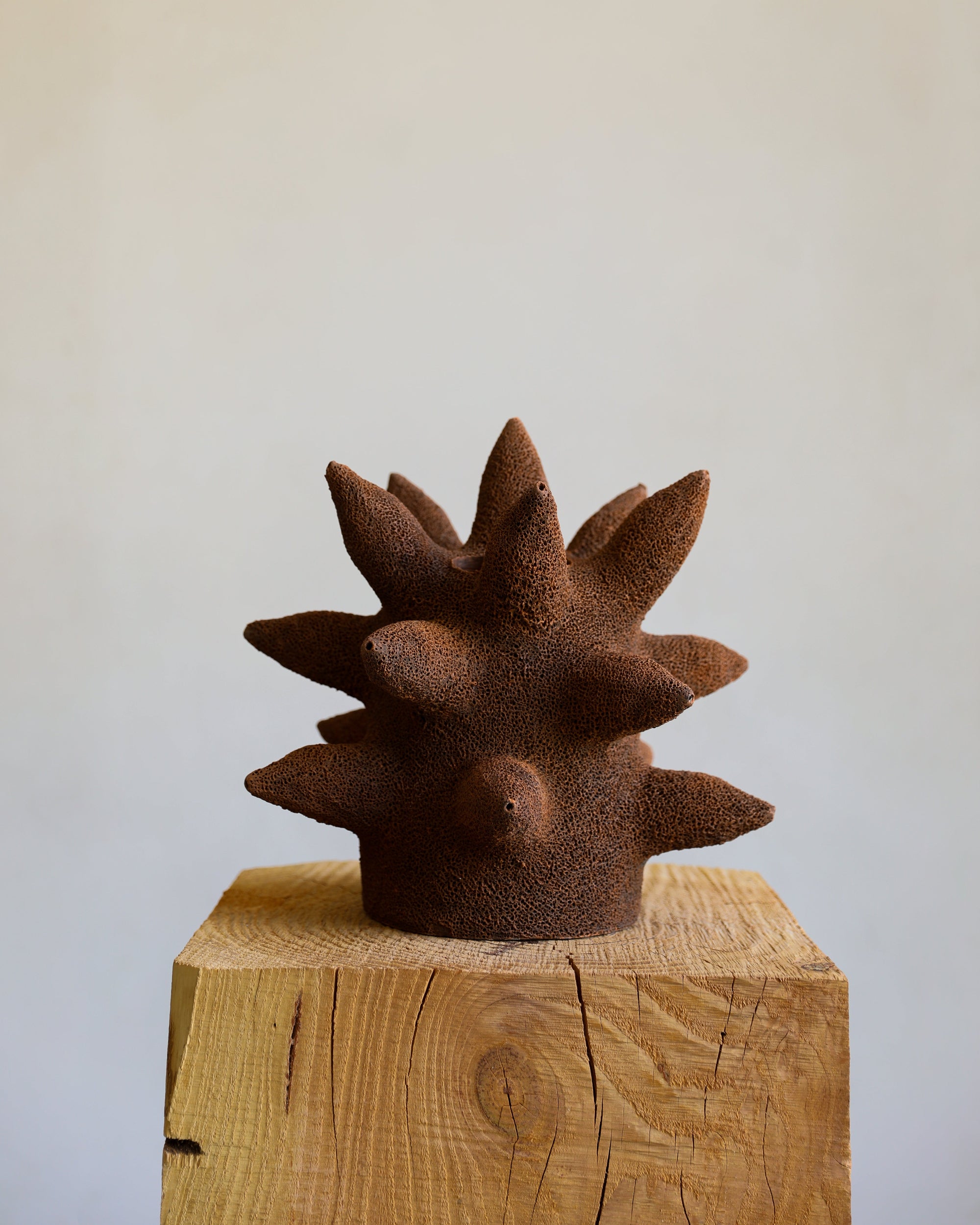 terracotta ceramic sea urchin inspired sculpture